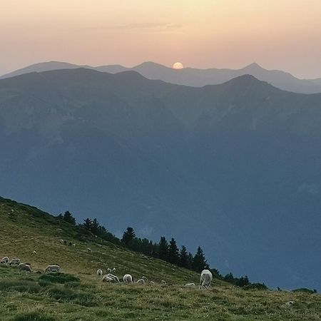 Maison 13 Pers A 10Mn De Luchon Cazaux-Layrisse Eksteriør billede