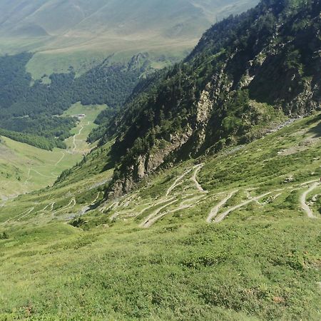 Maison 13 Pers A 10Mn De Luchon Cazaux-Layrisse Eksteriør billede