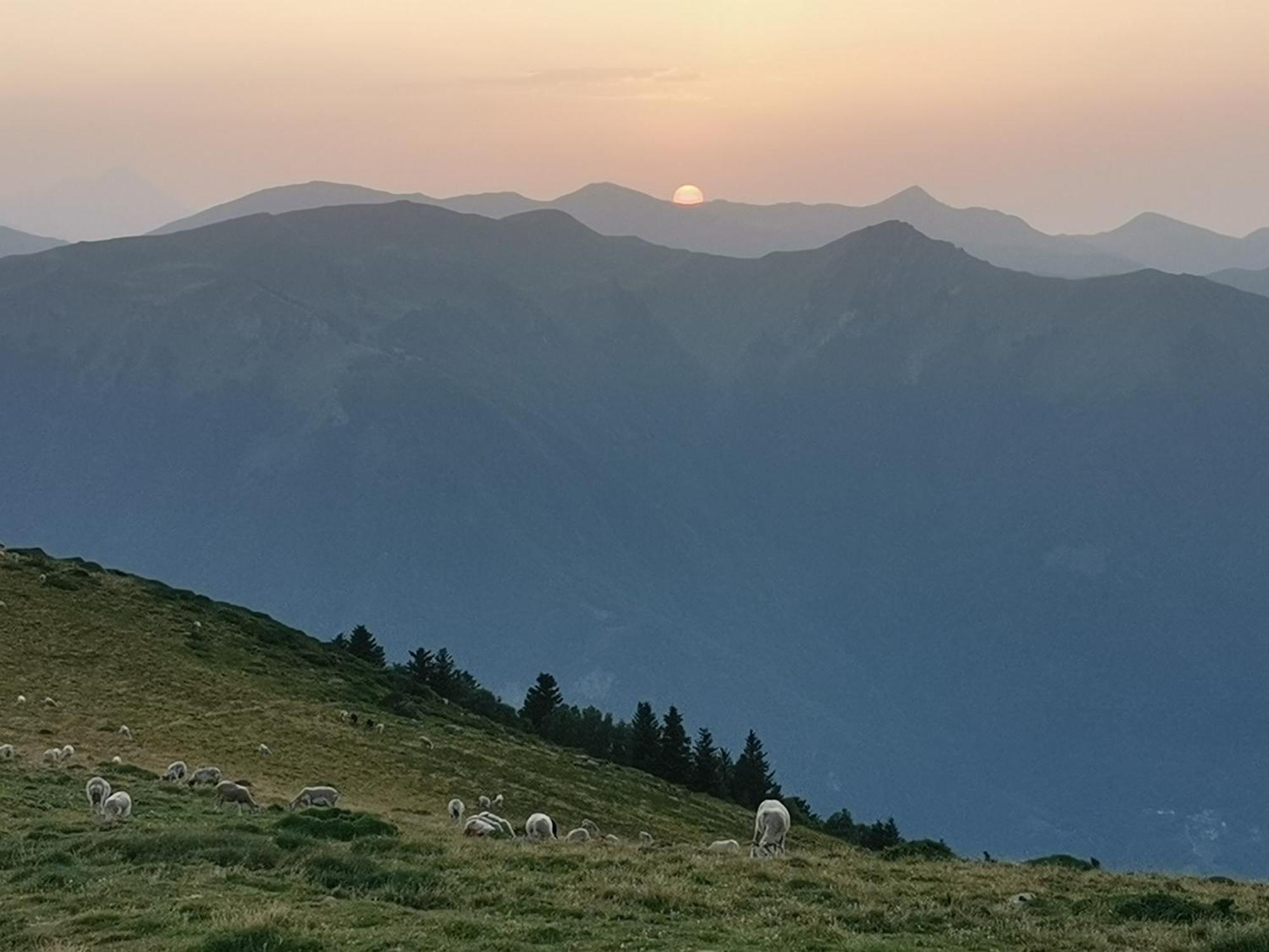 Maison 13 Pers A 10Mn De Luchon Cazaux-Layrisse Eksteriør billede